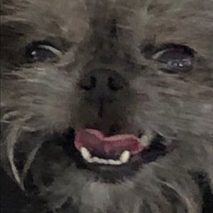 Meet your Posher, Luna